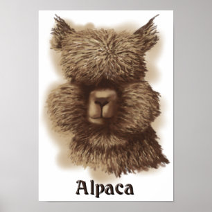 Alpaca Poster