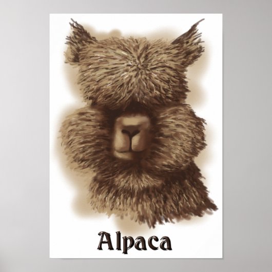 Alpaca Poster (Voorkant)