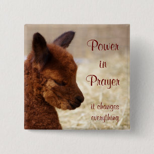 Alpaca Prayer Pin Vierkante Button 5,1 Cm