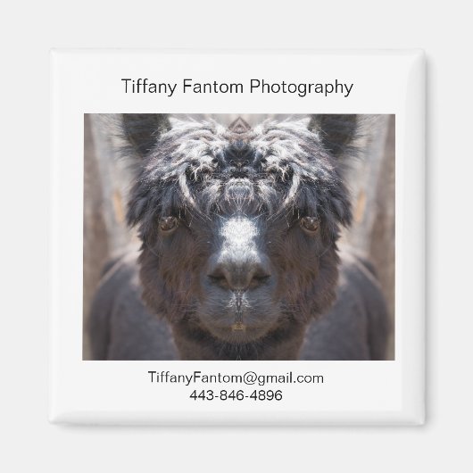 Alpaca Promo Stuk Magneet (Voorkant)