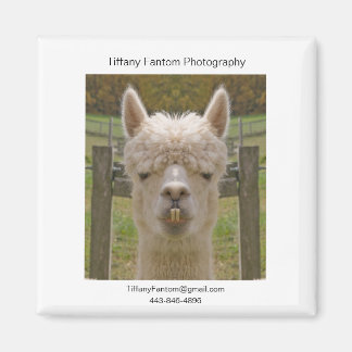 Alpaca Promo Stuk Magneet