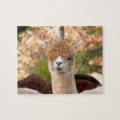 Alpaca Puzzels met Gift Box (Horizontaal)