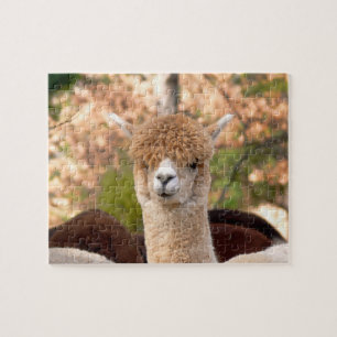 Alpaca Puzzels met Gift Box