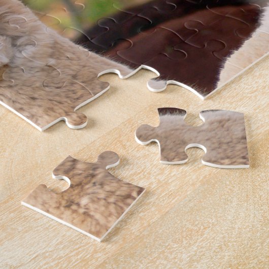 Alpaca Puzzels met Gift Box (Zijkant)