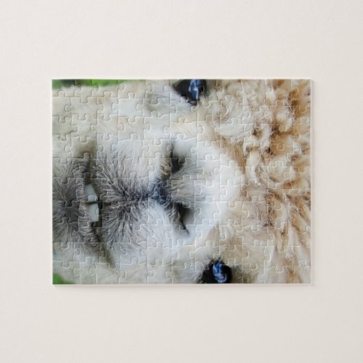 ALPACA PUZZLE 8X10 (Horizontal)