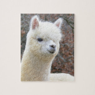 Alpaca Puzzle Analise Legpuzzel