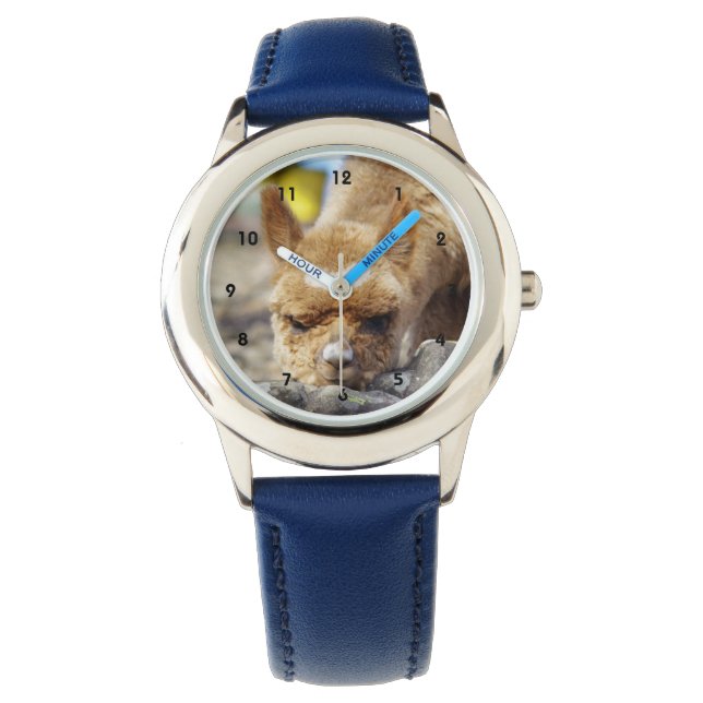 Alpaca roestvrij stalen horloge (Voorkant)