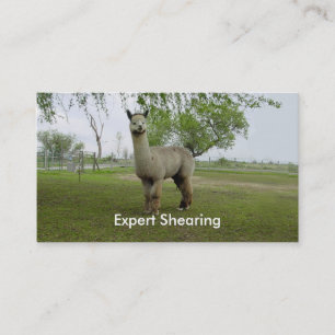 Alpaca Shear Visitekaartje