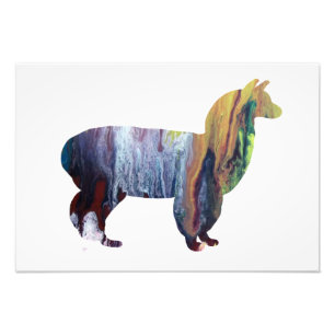 Alpaca silhouette foto afdruk