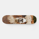 Alpaca Skateboard (Horizontaal)