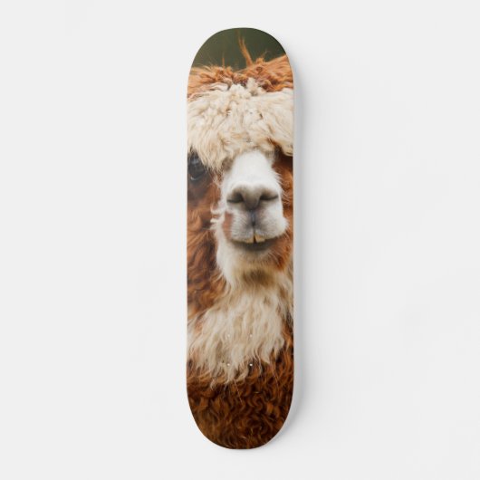Alpaca Skateboard (Voorkant)