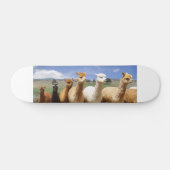 Alpaca Skateboard (Horizontaal)