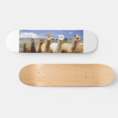 Alpaca Skateboard (Horizontaal)