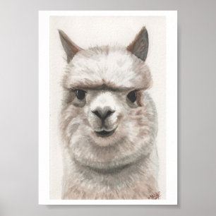 Alpaca Smile Art Print Ready to Framing Miranda