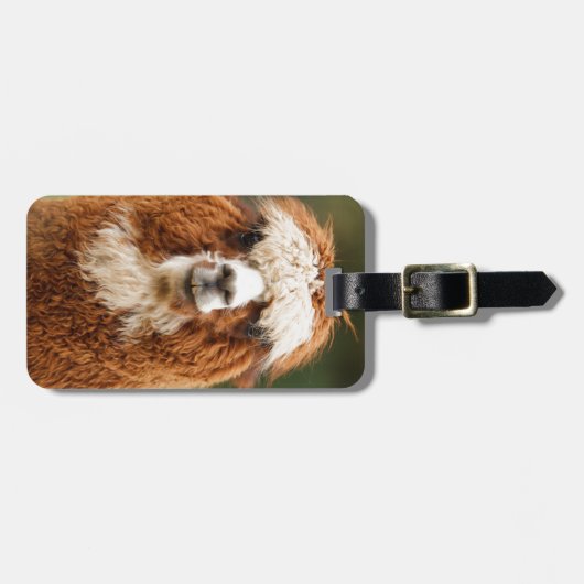 Alpaca Smile Bagagelabel (Voorkant horizontaal)