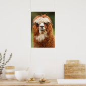 Alpaca Smile Poster (Keuken)