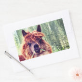 Alpaca Stickers (Envelop)