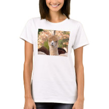 Alpaca tshirts