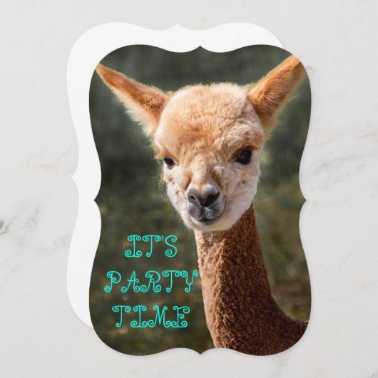 Alpaca Uitnodiging (Voorkant / Achterkant)