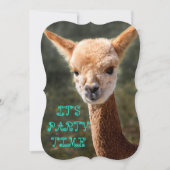Alpaca Uitnodiging (Voorkant)
