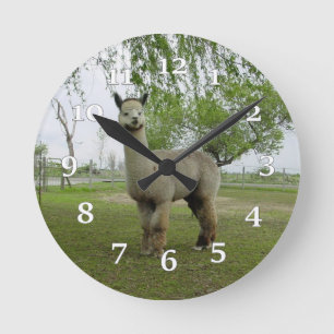 Alpaca Wall Clock Ronde Klok