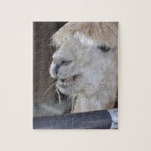 Alpaca, wit legpuzzel