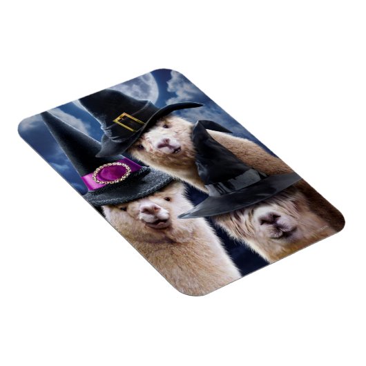 Alpaca Witches Magneet (Rechterzijde)