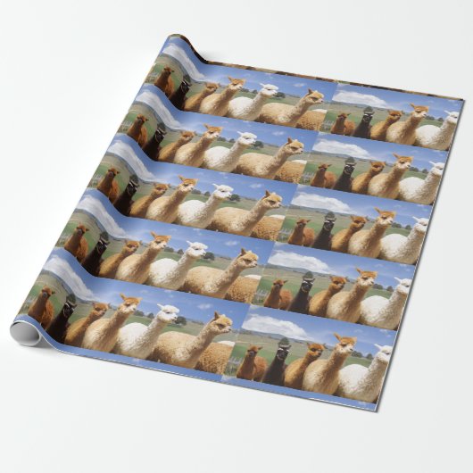 Alpaca Wrapping Paper Cadeaupapier (Uitgerold)