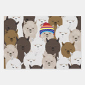 Alpaca Wrapping Paper Sheets (Voorkant)