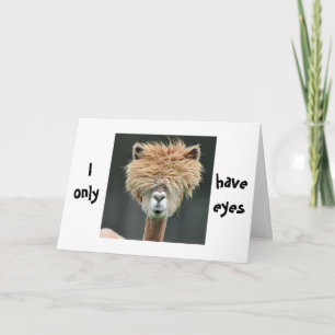 ALPACA ZEGT: "IK HEB ALLEEN JULLIE" FEESTDAGEN KAART