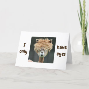 ALPACA ZEGT: "IK HEB ALLEEN MAAR OOG VOOR JOU, IK  FEESTDAGEN KAART