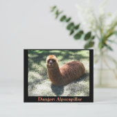 Alpacapillair Briefkaart (Staand voorkant)