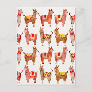 Alpacas Briefkaart