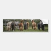Alpacas in Motion Bumpersticker (Voorkant)