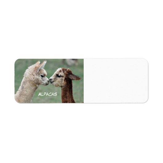 Alpacas label (Voorkant)