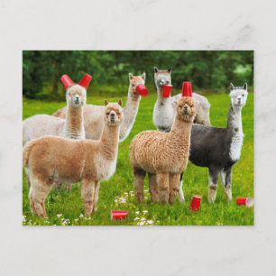 Alpaca's met rode kopjes uitnodiging briefkaart