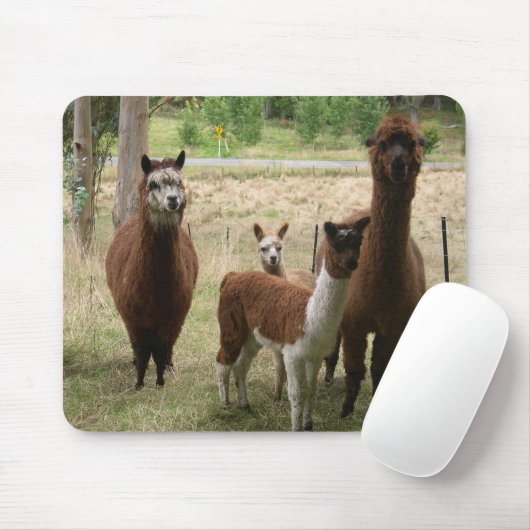 Alpacas Muismat (Met muis)