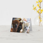 Alpacas Notecard Kaart (Gele Bloem)