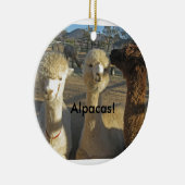 Alpacas. Ornament (Rechts)