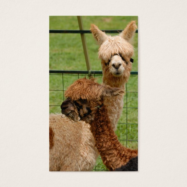 Alpacas Visitekaartjes (Voorkant)