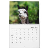 Alpacas Wall Agenda Kalender (Mar 2026)