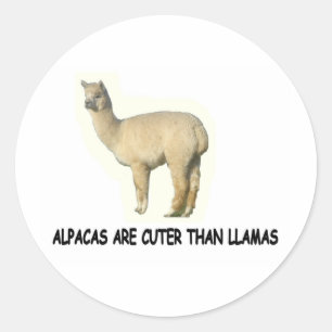 Alpaca's zijn knuffel dan lama's ronde sticker