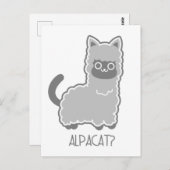 Alpacat? Briefkaart (Voorkant / Achterkant)