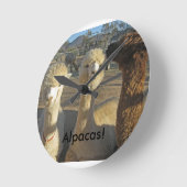 Alpaga ! Horloge (Angle)