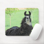Alpaga, tapis de souris de lama (Avec souris)