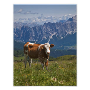 Alpen Koeienprint Foto Afdruk