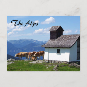 Alpenbergscène met AlpenKoeien Briefkaart