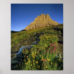 Alpene wilde bloemen & Mt Clements bij Logan Pass Poster
