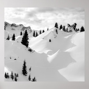 Alpenlandschap: besneeuwde brandbomen bergen poster