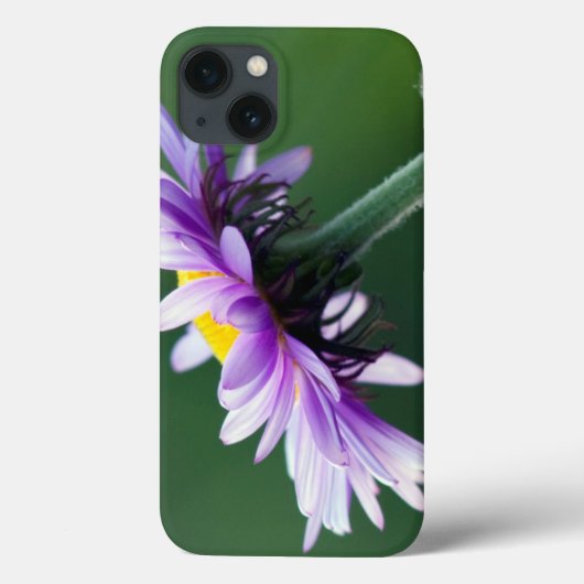 Alpenmargriet Case-Mate iPhone Case (Achterkant)